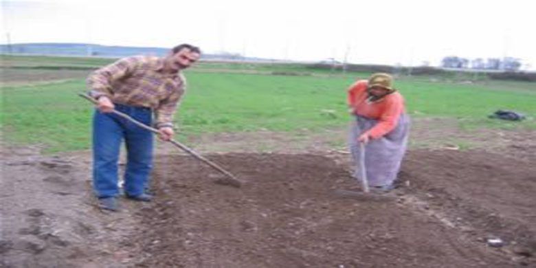 Tütüncünün çilesi başladı