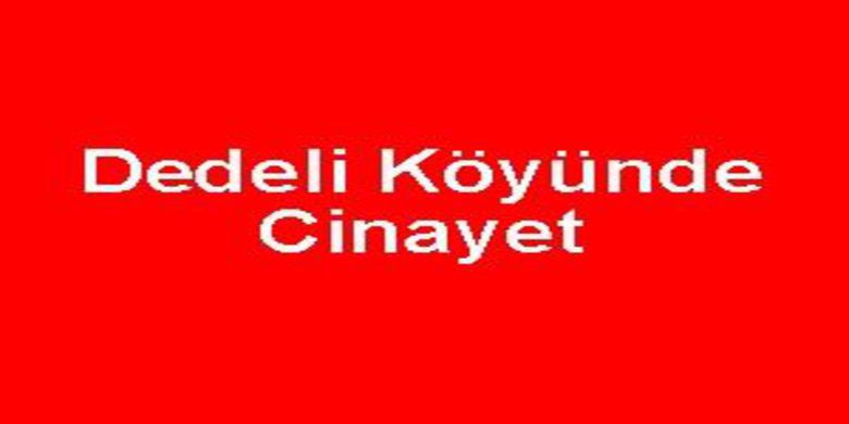 Dedeli Köyünde cinayet