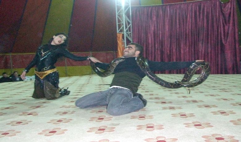 Moğolistan Ulusal Devlet Sirki Bafra'da