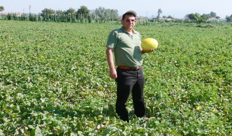 Bugün Hasadını Yap, 90 Gün Sonra Sat Bugün Hasadını Yap, 90 Gün Sonra Sat