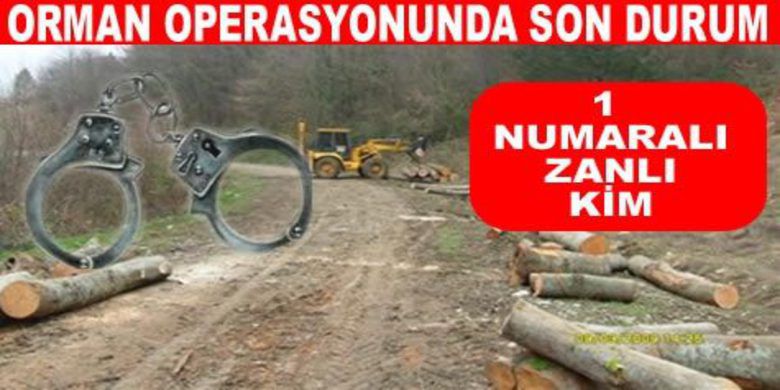 Orman Operasyonunda Son Durum