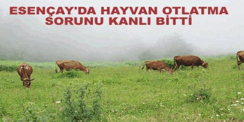 Silahla Vurularak Yaralandı Silahla Vurularak Yaralandı