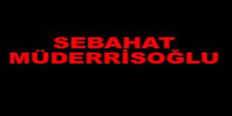 Sebahat Müderrisoğlu