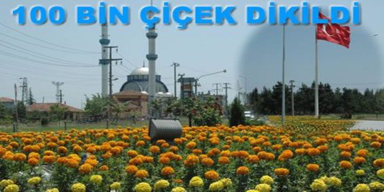 Bafra Çiçek Bahçesi Bafra Çiçek Bahçesi