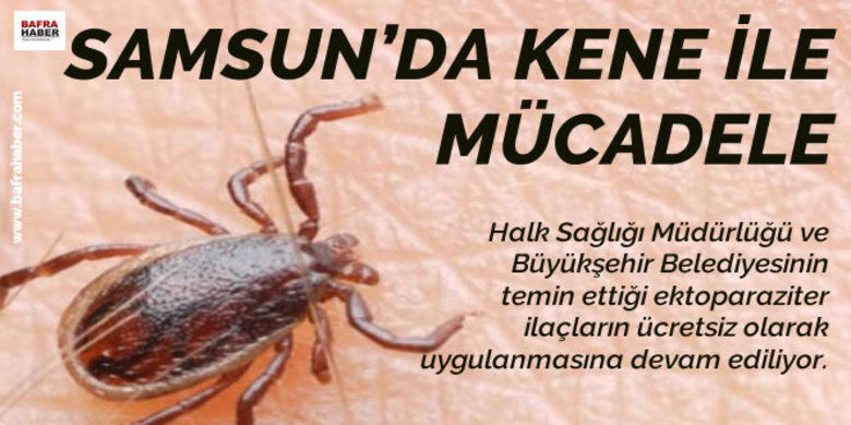Kkka İle Mücadele Kkka İle Mücadele