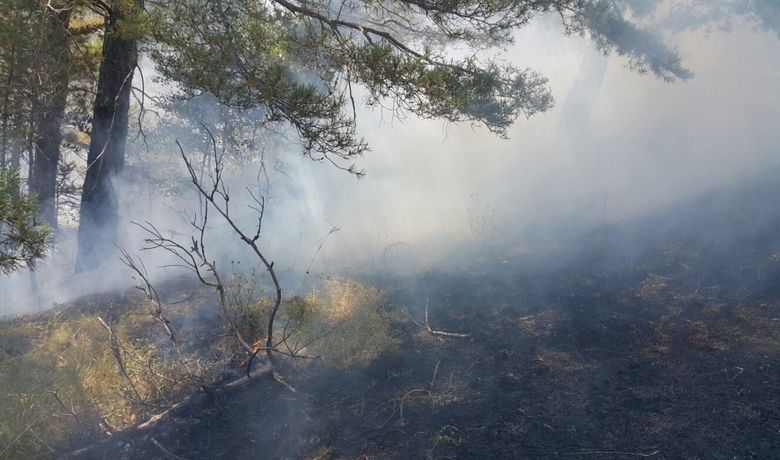 Alaçam'da Orman Yangını