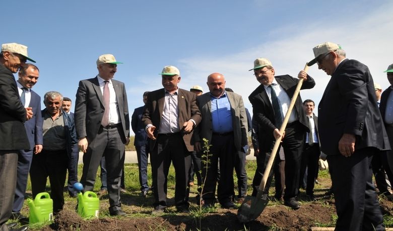 Bafra'da "Adalet Ormanı" Oluşturuldu Bafra'da "Adalet Ormanı" Oluşturuldu