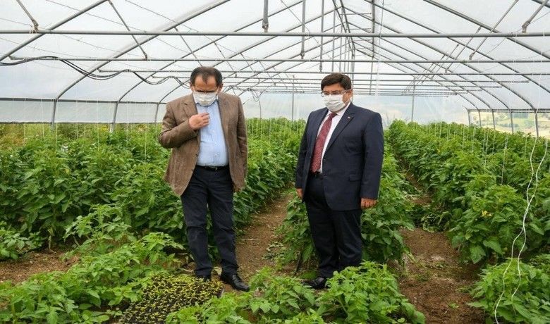Cezaevinde üretim
Cezaevinde üretim