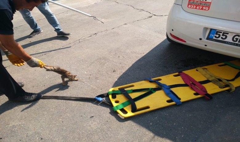 ‘Kedi kurtarma’ operasyonu
‘Kedi kurtarma’ operasyonu