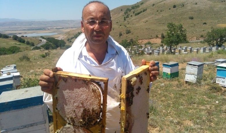 ’Bal’lı sezon
’Bal’lı sezon