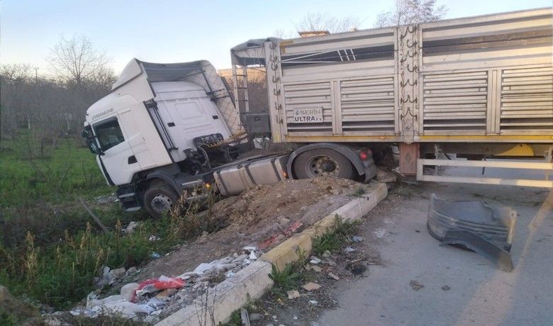 Tır dehşeti: 4 yaralı
Tır dehşeti: 4 yaralı