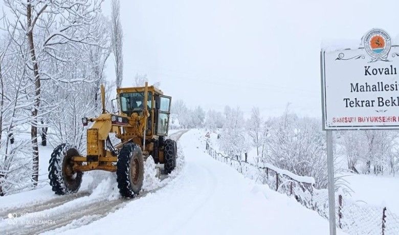 Samsun’da ’mart karı’ ile mücadele
Samsun’da ’mart karı’ ile mücadele