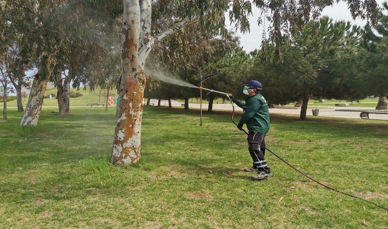 Samsun’da vektör ile mücadele
Samsun’da vektör ile mücadele