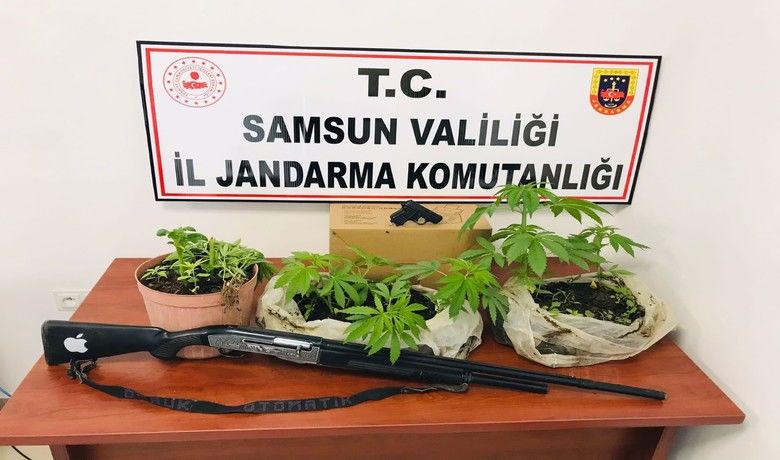 Jandarmadan ‘kenevir’ baskını
Jandarmadan ‘kenevir’ baskını