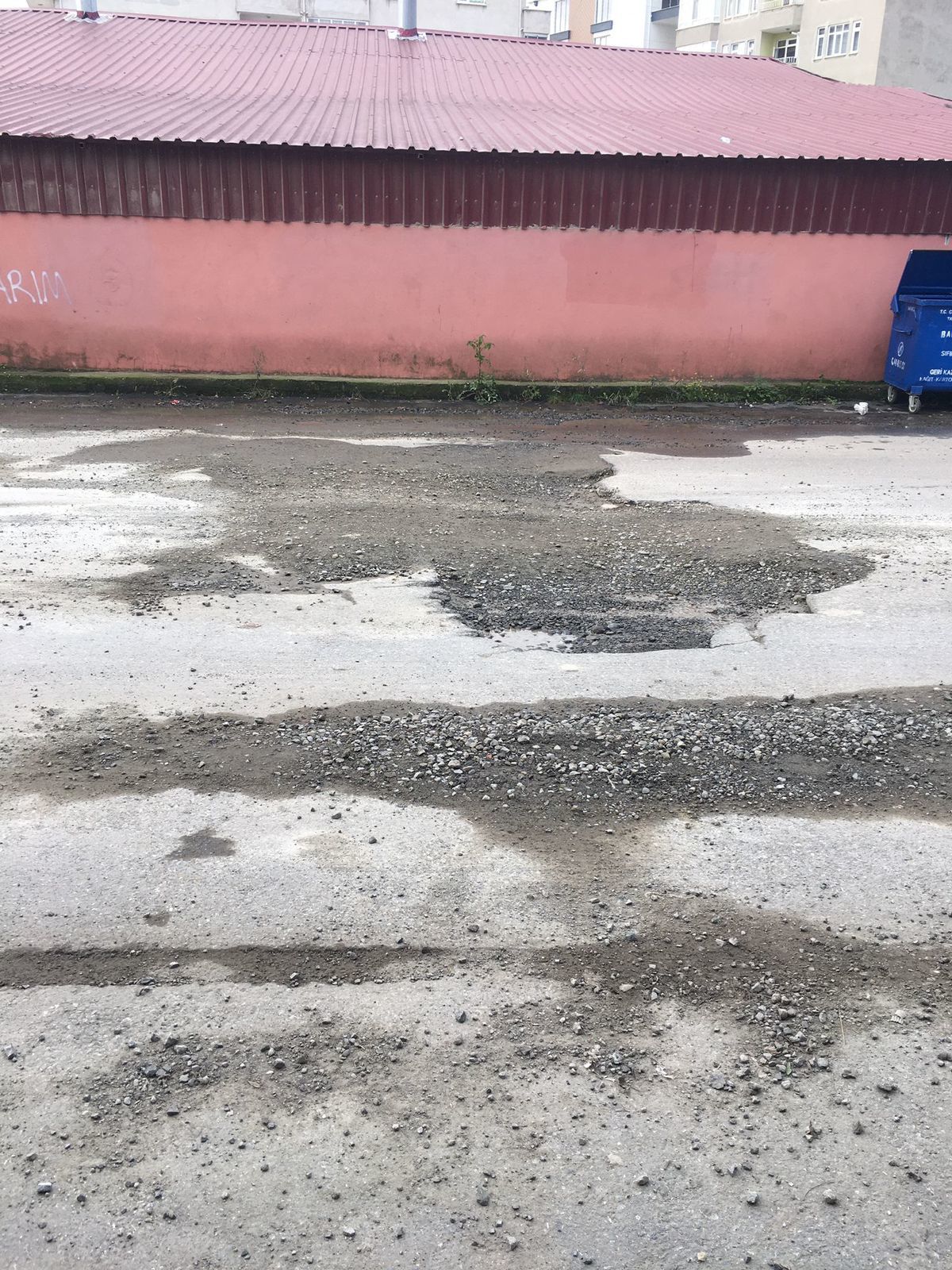 Bir Saski Klasiği: Kaz, Bırak Git