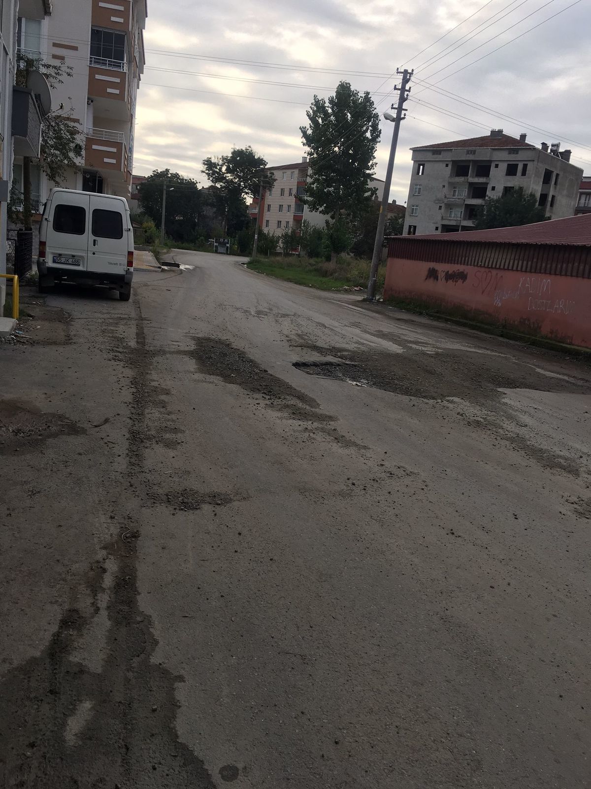Bir Saski Klasiği: Kaz, Bırak Git