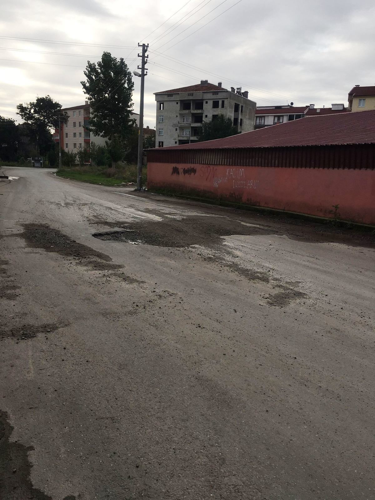 Bir Saski Klasiği: Kaz, Bırak Git