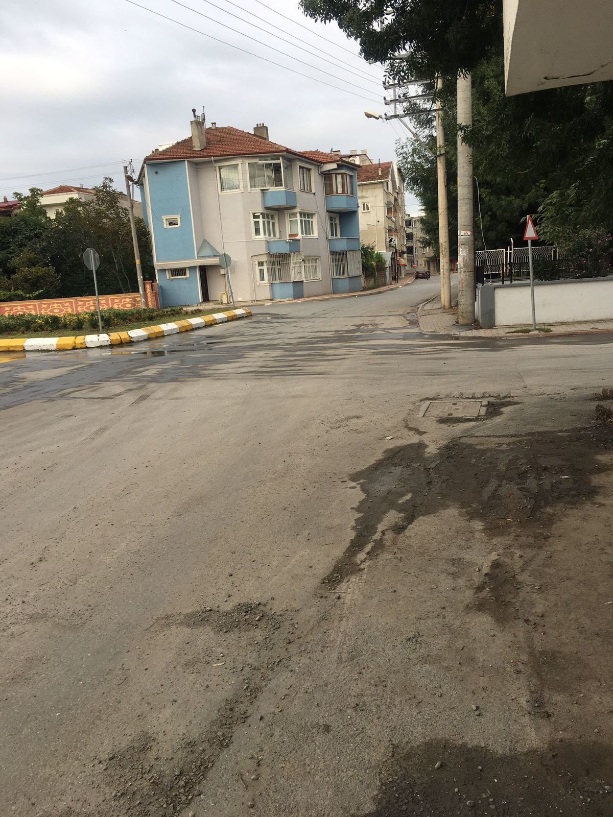 Bir Saski Klasiği: Kaz, Bırak Git