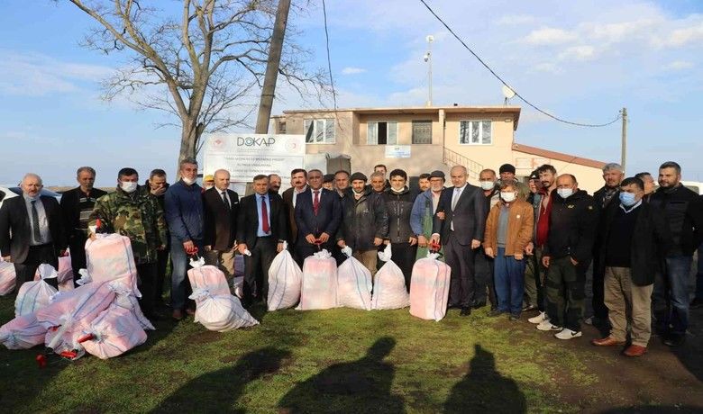 Samsun’da İsrail sazanı ile mücadele başladı
Samsun’da İsrail sazanı ile mücadele başladı