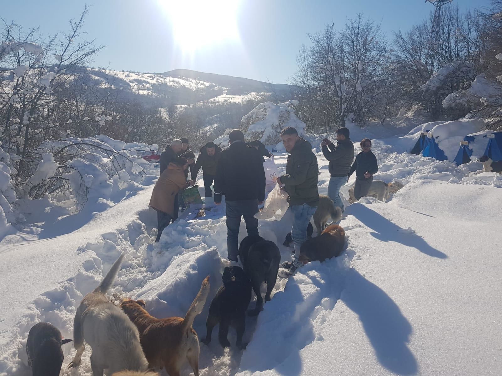Sokaktaki Canların Da Deva’sı Oldular
