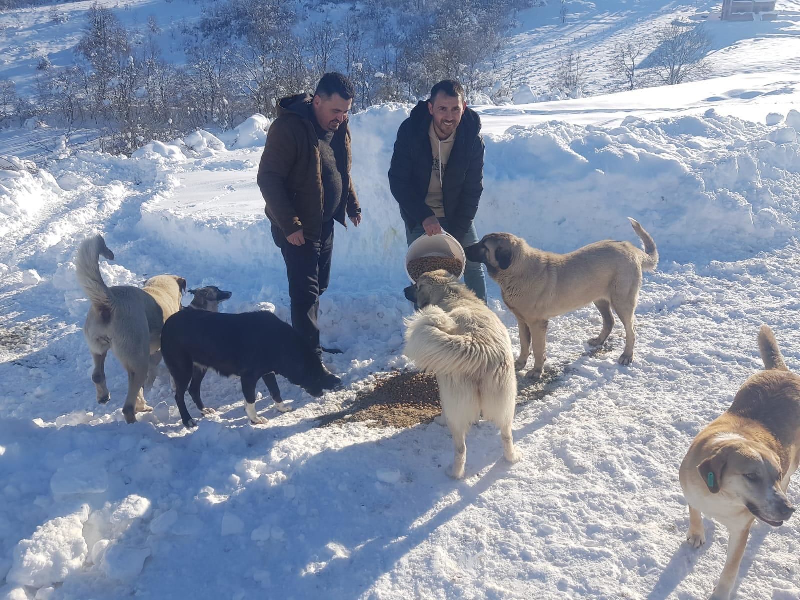 Sokaktaki Canların Da Deva’sı Oldular