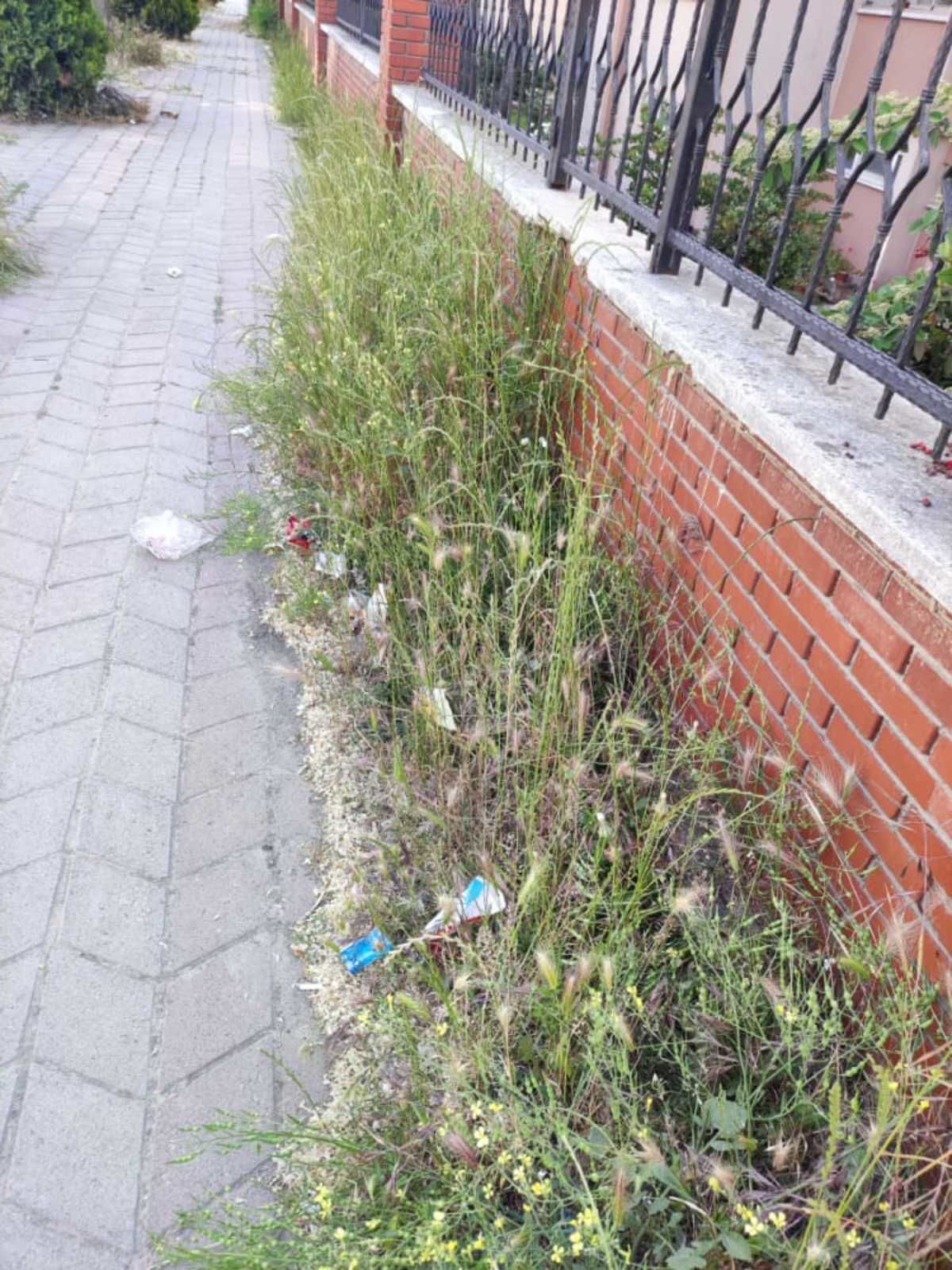 Otlar almış başını gitmiş