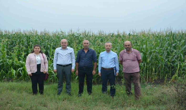 Silajlık mısır hasadı devam ediyor
Silajlık mısır hasadı devam ediyor