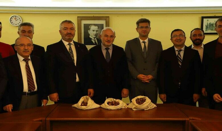 19 Mayıs’a ’kestane ormanı’ kurulacak 19 Mayıs’a ’kestane ormanı’ kurulacak