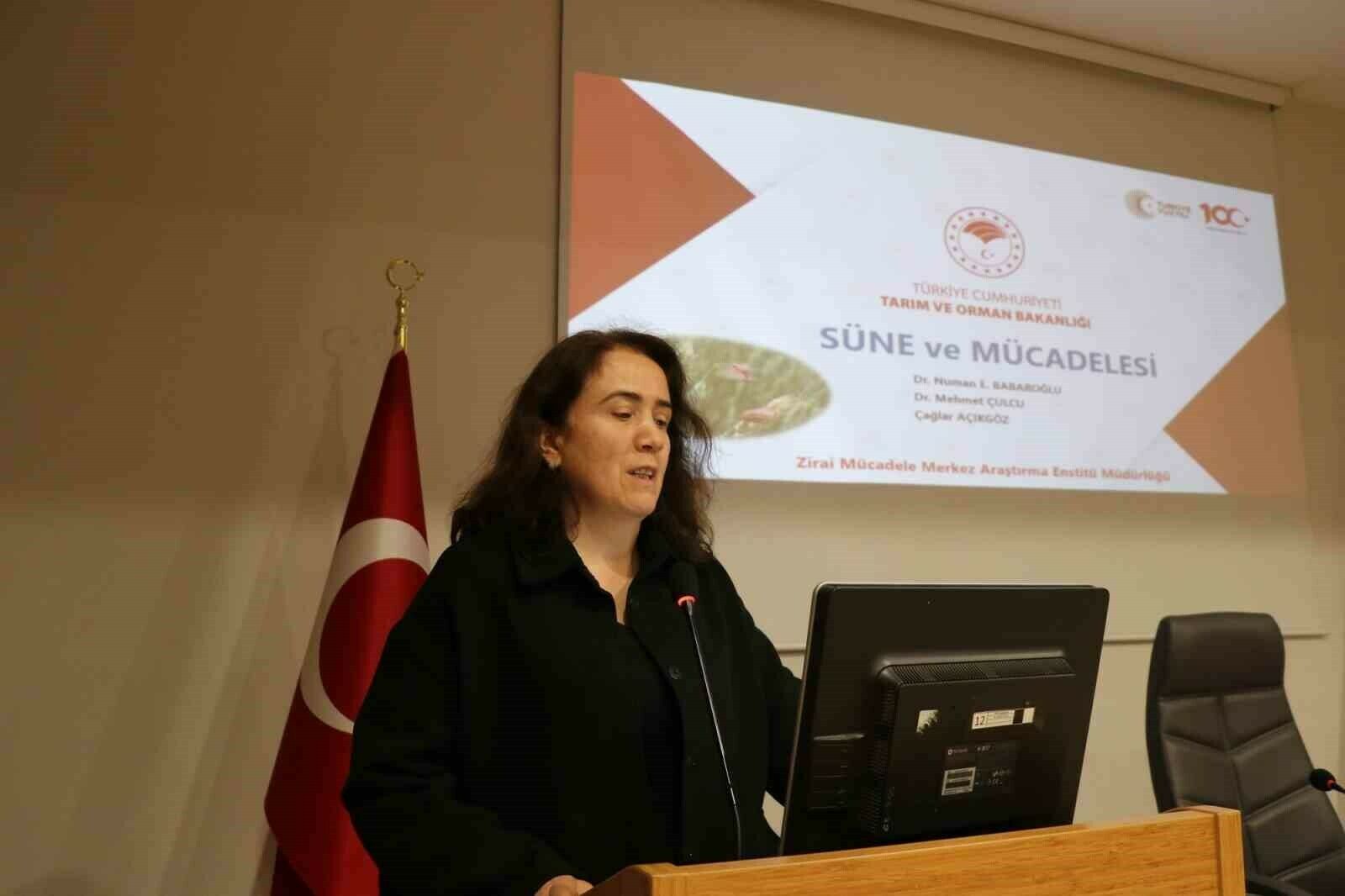 Buğdayda ’süne’ ile mücadele
