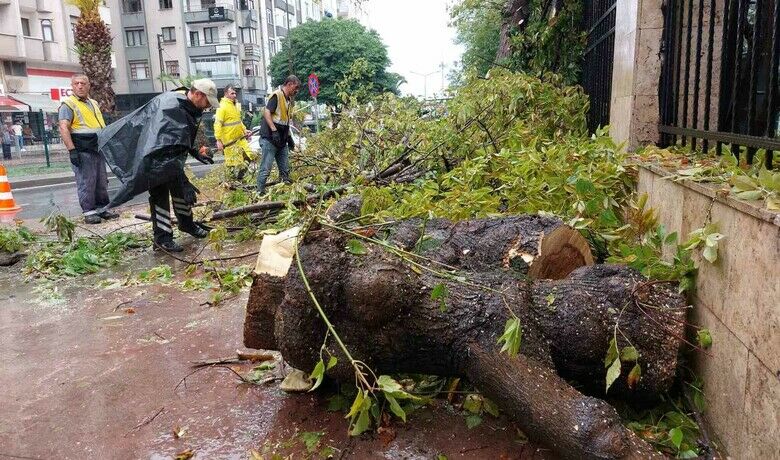 Samsun’da sağanak ağaç devirdi
Samsun’da sağanak ağaç devirdi