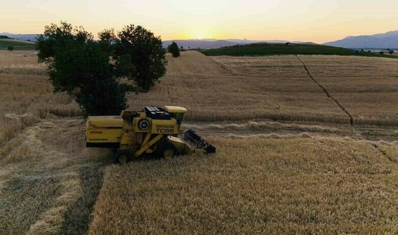 Vezirköprü’de buğday hasadı başladı
Vezirköprü’de buğday hasadı başladı