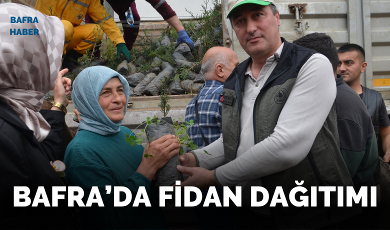 Bafra’da fidan dağıtımı Bafra’da fidan dağıtımı